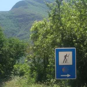 Meet your Posher, Alice